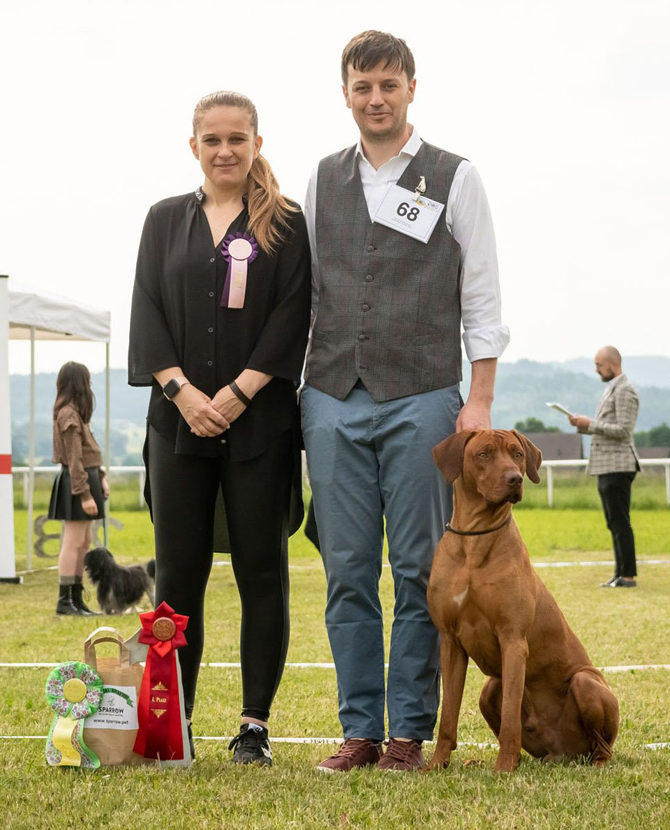  Dog Show Project - Fehraltorf (CH)