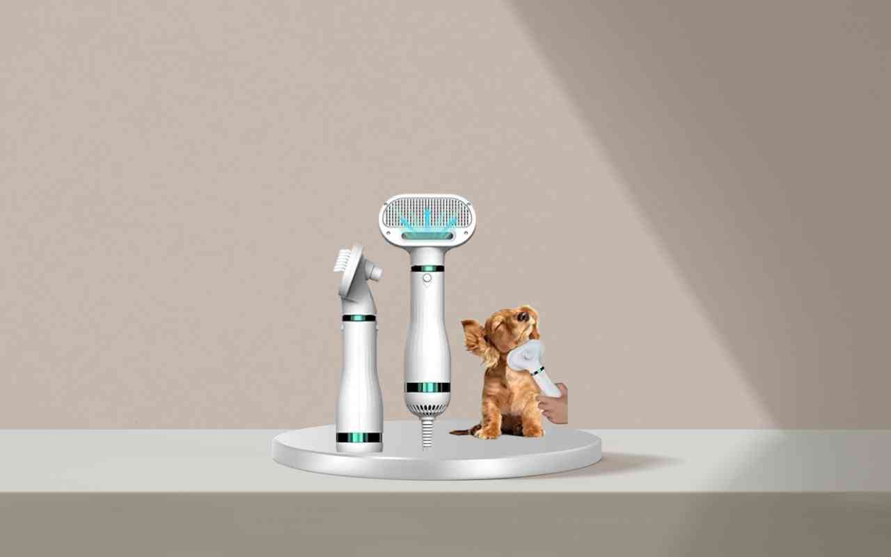 Addestra il tuo cane e gatto senza stress con Nice Pet: scopri il metodo innovativo