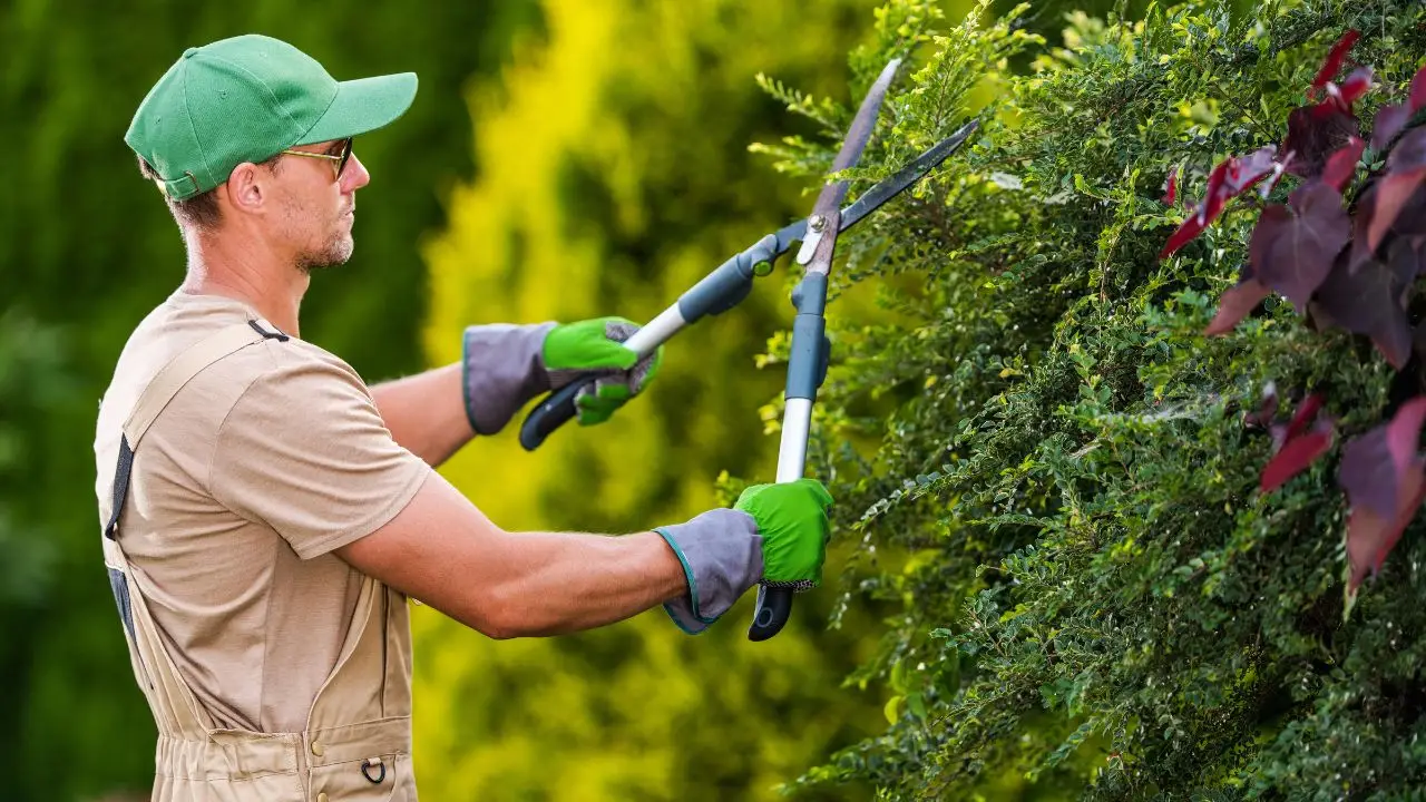 Pensi che curare i giardini sia solo un hobby? Ecco cosa fa davvero un operatore del verde