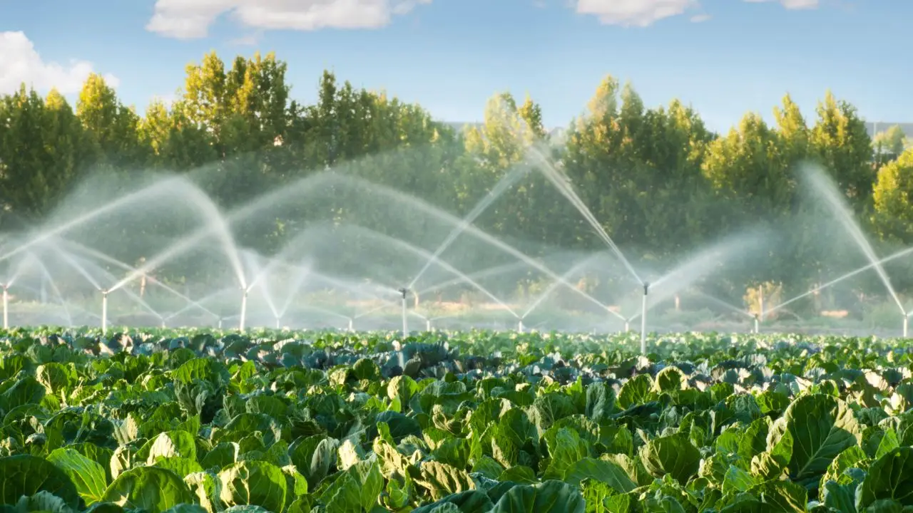 La pressione dell’acqua nel tuo impianto di irrigazione è sbagliata: ecco come regolarla
